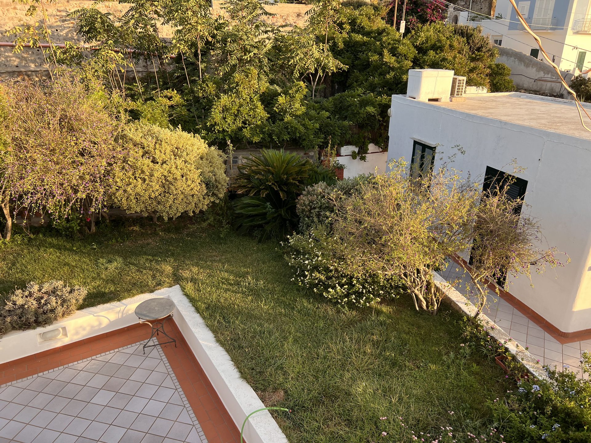 Vista giardino dall'alto